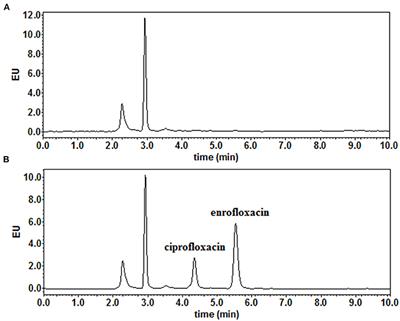 Pharmacokinetics and Tissue Residue Profiles of Enrofloxacin in Crucian Carp (Carassius auratus gibelio) Following Single and Multiple Oral Administration